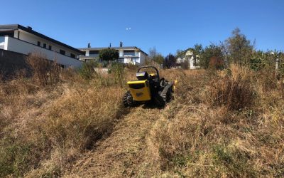 Fauche et nettoyage d’une parcelle