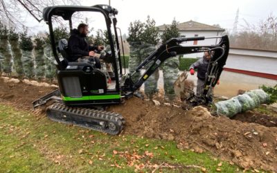 Plantation d’une haie de Houx