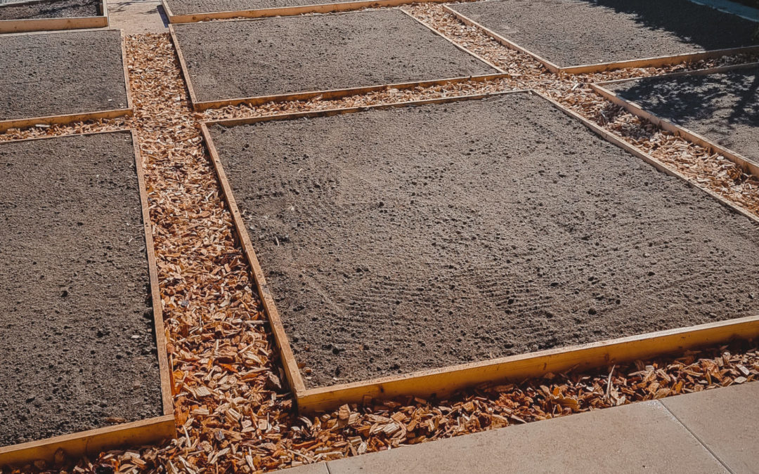 Création d’une zone potagère en permaculture