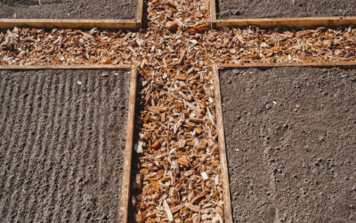 Création d’une zone potagère en permaculture