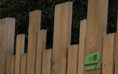 Aménagements extérieurs réfection 1 immeuble Lausanne